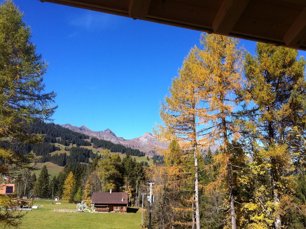 Bunderbach Villa Adelboden Ngoại thất bức ảnh