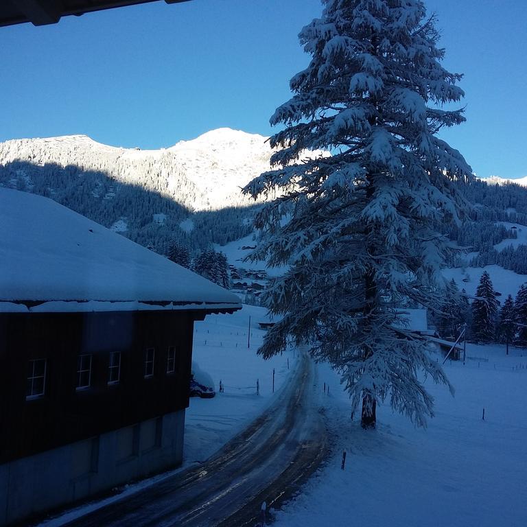 Bunderbach Villa Adelboden Ngoại thất bức ảnh